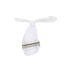 SG Pro Cricket Batting Inner Thigh Pad
